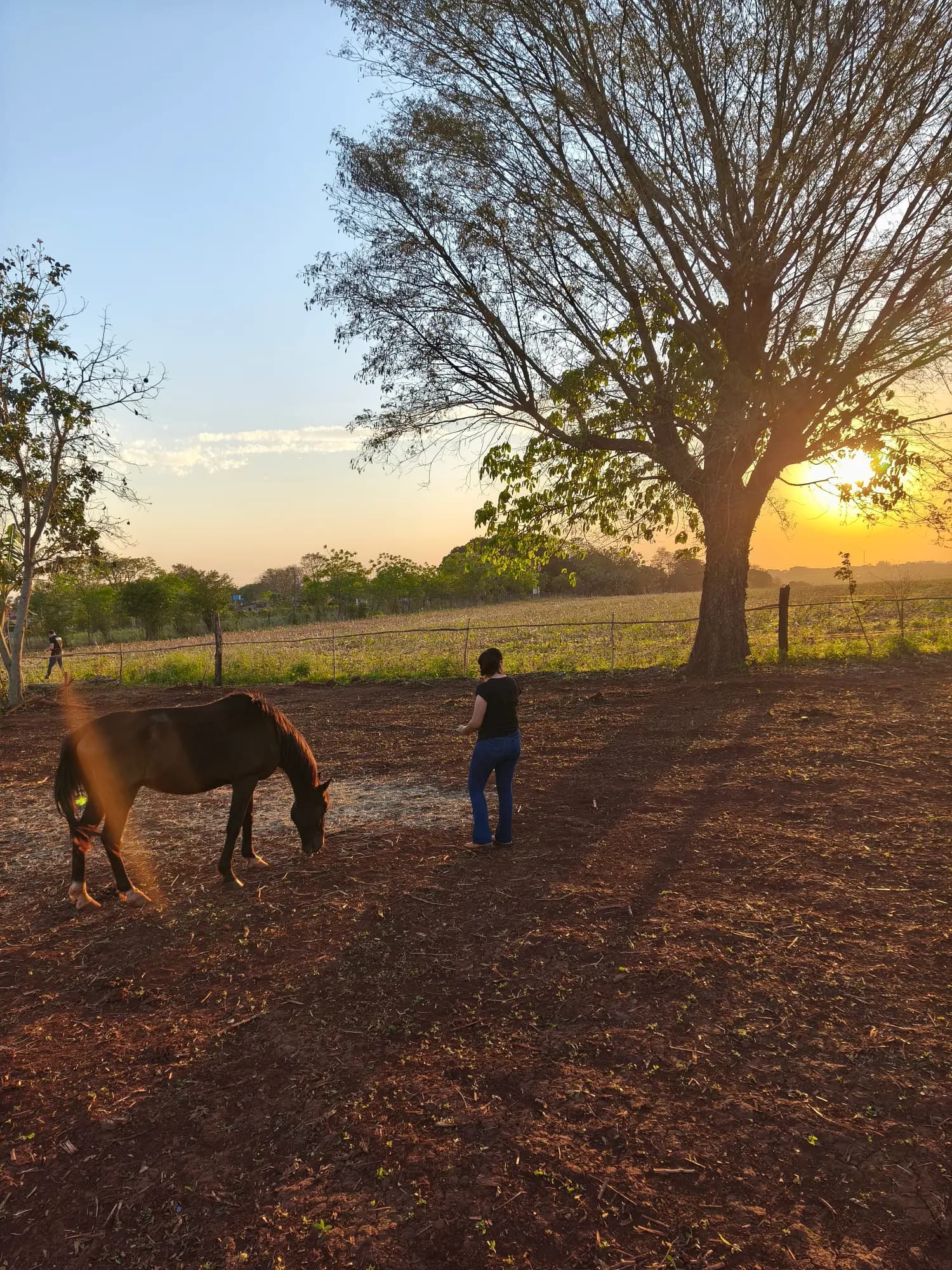 Passeio a Cavalo