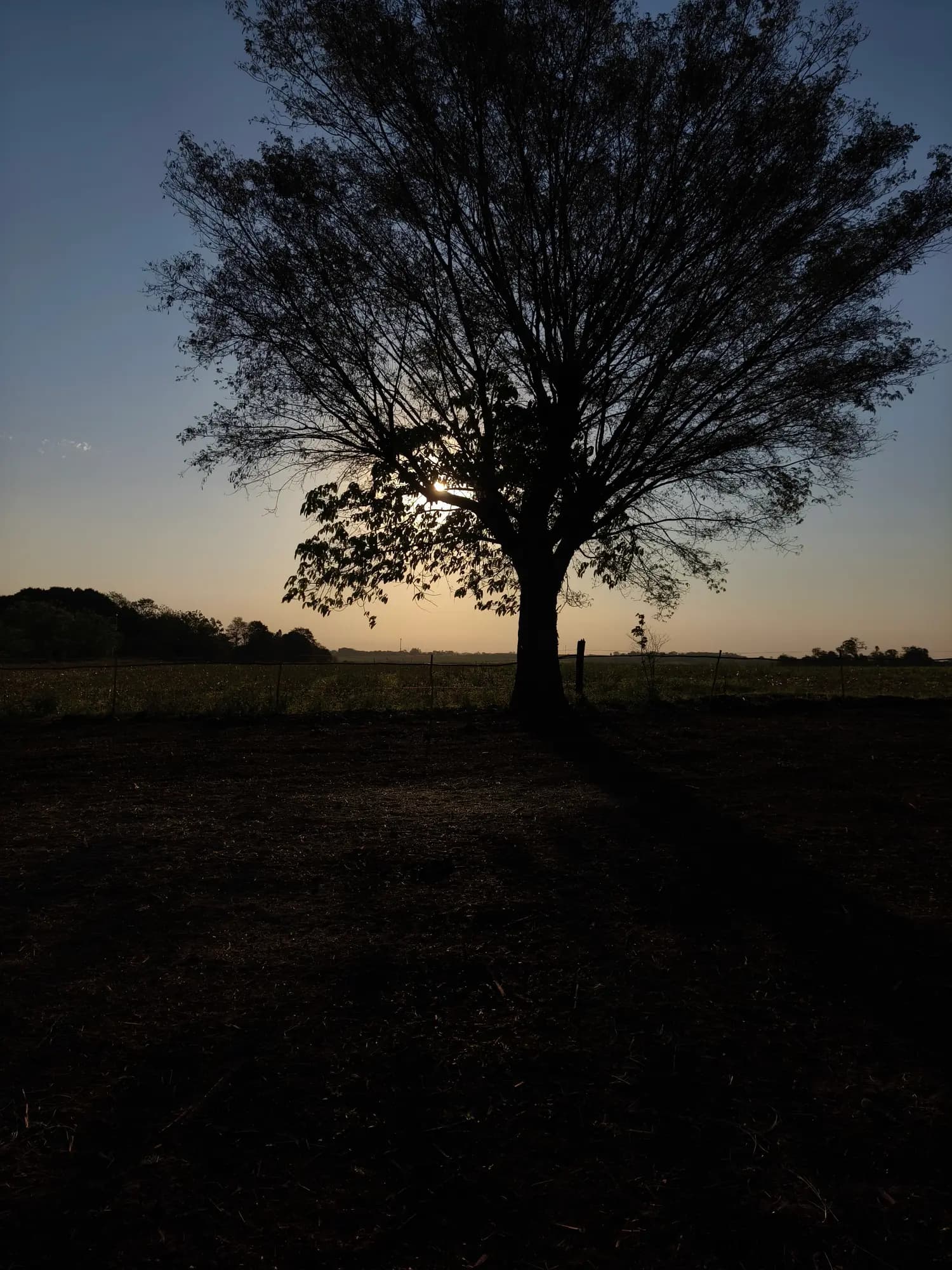Constelação Individual